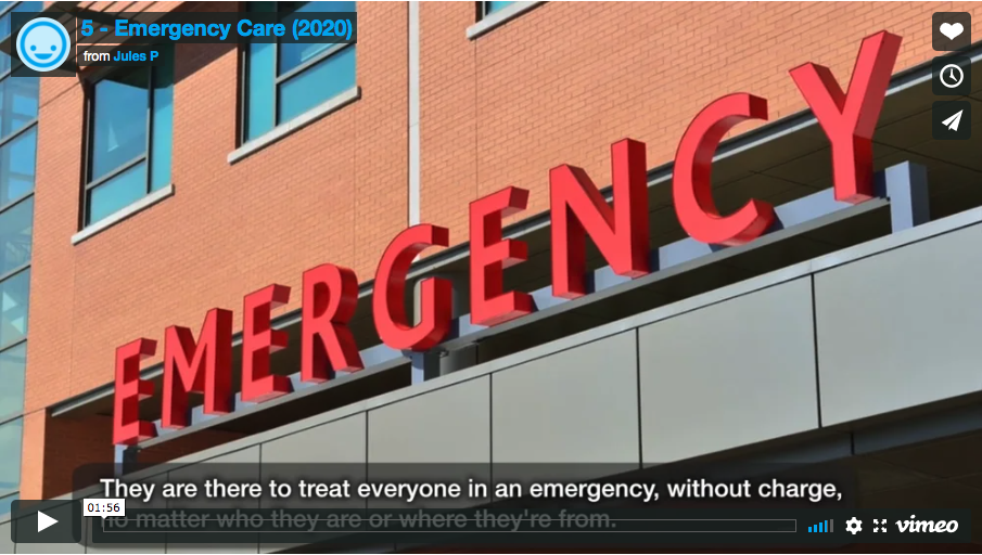 Video 5. Emergency Care